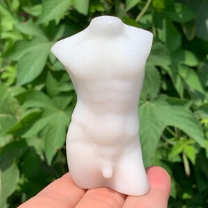 Peut inclure: Une figurine de torse blanc sculpté. La figurine représente le haut du corps d'une personne, avec une musculature définie. La sculpture est tenue dans une main sur un fond de feuillage vert. La figurine mesure environ 10 cm de haut.