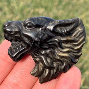 2.4&#39;&#39;+ Natural Gold Obsidian quartz crystal Wolf skull crystal gifts 1pc