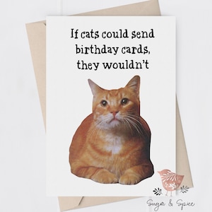 Funny Cat Greeting Card, Best Friend Card, Caring, Humor, Pet Lover Birthday Card, A6 Blank Card