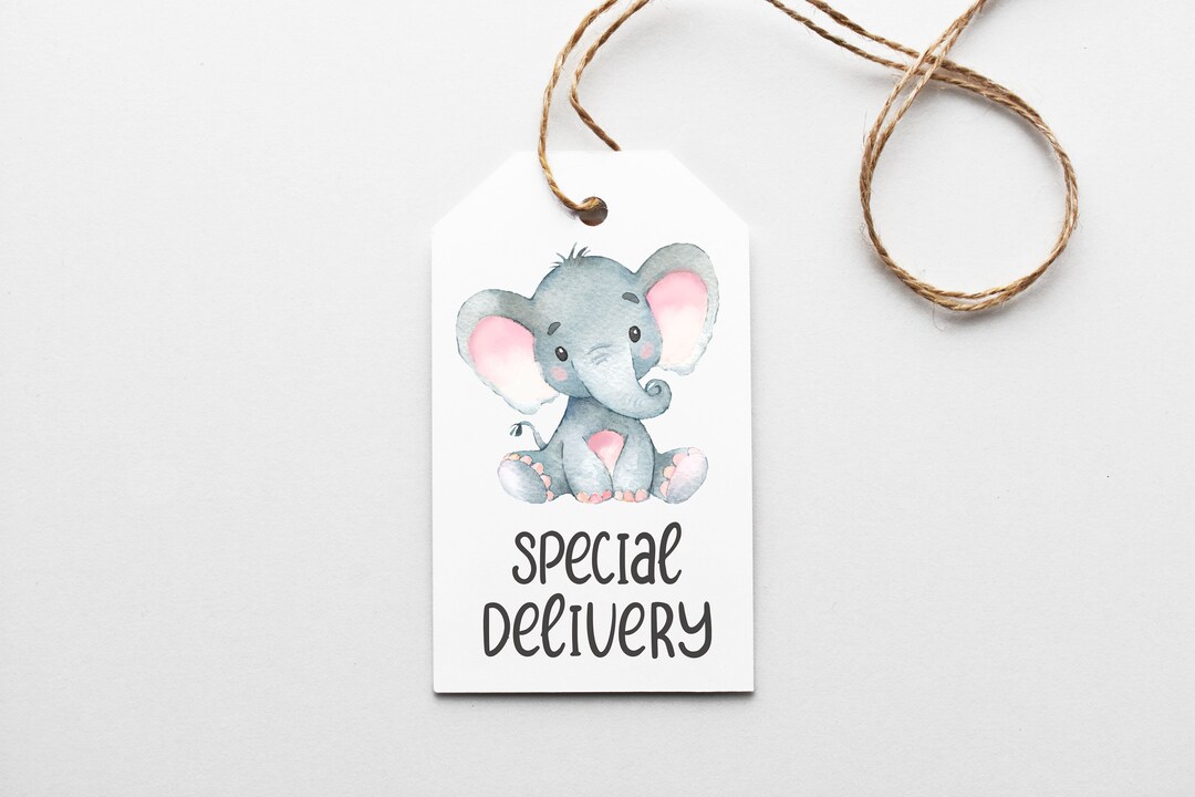 Baby Shower Elephant Gift Tags, PRINTED Gift Tags With String, Baby
