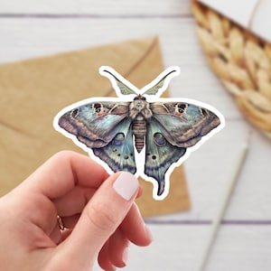 Moth Sticker, Pretty Moth Decal, Nature Inspired Sticker, Laptop Decoration, Scrapbook Sticker, Gift for Nature Lovers