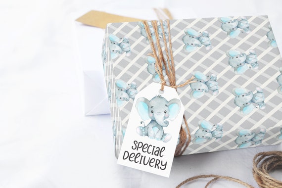 Baby Blue Elephant Wrapping Paper