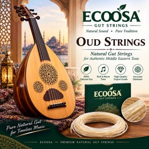 May include: A light-coloured wooden oud instrument with a dark neck and three ornate sound holes, accompanied by a coiled set of translucent gut strings in a dark green box labelled ECOOSA GUT STRINGS, featuring text about natural sound.