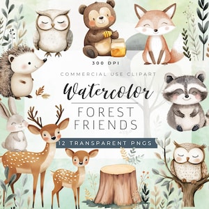 Clipart lunatique d'amis de forêt | 12 Clipart Animaux de la forêt PNG | Boho aquarelle animaux | Jolies créatures des bois Clipart PNGs