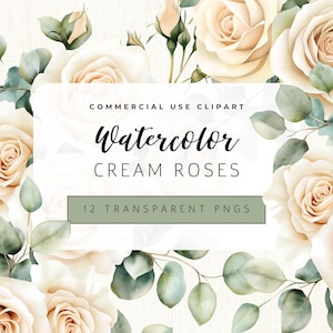Creamy Rose Clipart Set – Rustic White Roses Clipart – Blush Ivory Vintage Rose PNG – Rose Wedding Invitation Graphics - Baby Eucalyptus PNG