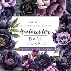 Clipart Floral Roxo e Preto Moody | Peônias e Rosas Aquarela Escuras PNG | Flores de Casamento Góticas | Gráficos Florais Escuros Elegantes