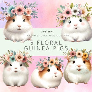May include: Five digital illustrations of guinea pigs wearing floral crowns. The guinea pigs are white with pink noses and brown eyes. The flowers are in shades of pink, blue, and yellow.