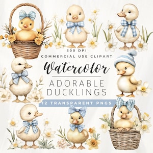 May include: Watercolour illustrations of adorable ducklings with blue and white checked bows and hats. The ducklings are surrounded by yellow daffodils and some are in a wicker basket.