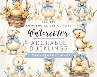 Conjunto de imágenes prediseñadas de patitos adorables / Conjunto de imágenes prediseñadas de patitos y narcisos / Imágenes prediseñadas de patitos y flores / Lindo patito de Pascua con flores