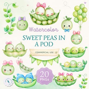 Clipart van erwtenpeulen, clipartbundel van lathyrus, decoraties voor een babyshower met tweelingen, PNG-afbeeldingen van twee lathyrusbloemen voor een babyshower, clipart van meerdere baby's