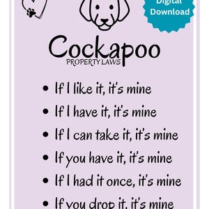 Puede incluir: Una descarga digital con un fondo lila claro, una ilustración de perro Cockapoo y el texto "Cockapoo Property Laws". El texto enumera con humor reglas sobre la propiedad, como "Si me gusta, es mío."