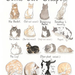 Cat Shapes print