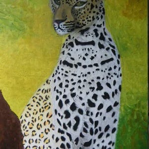 Leopard