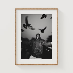 May include: Monochrome framed print showing a person with arms outstretched, with birds in flight. The image has a grainy texture, suggesting motion and depth. The birds are dark against a blurred background, creating a dynamic composition.