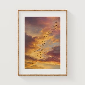 Dramatic Golden Sunset Sky with Birds - Moody Photographic Print, Printable Wall Art, Cinematic Cloud Scene, Serene Sunset Digital Download