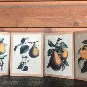 Cartes en papier de semence / Ensemble de 4 / Conceptions plantables / vintage