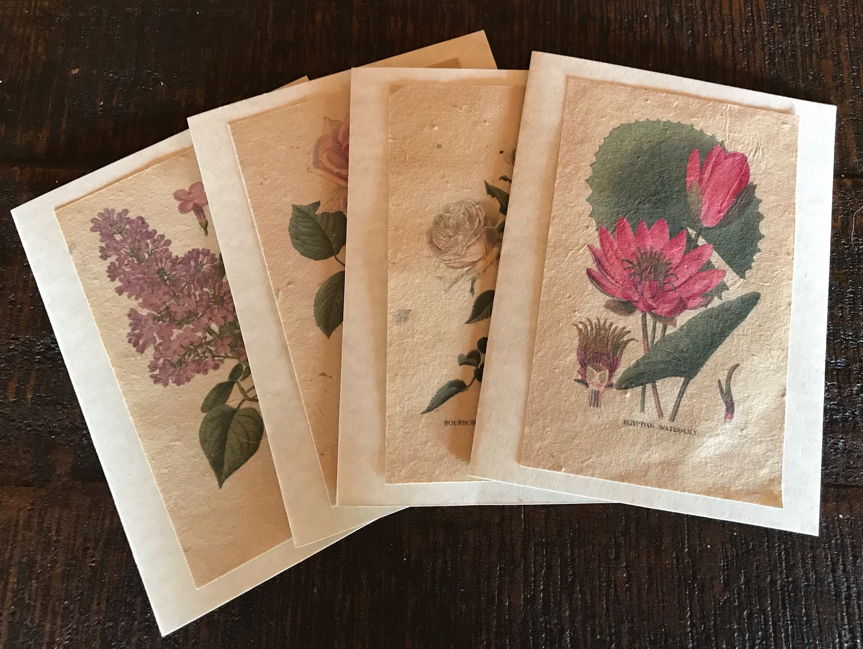 Seed Paper Cards / Set of 4 / Plantable / Vintage Designs Etsy