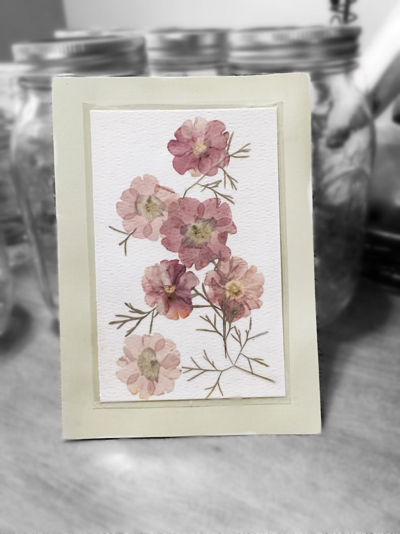 Ready to Ship Pressed Flower Card Real Flowers Laminated