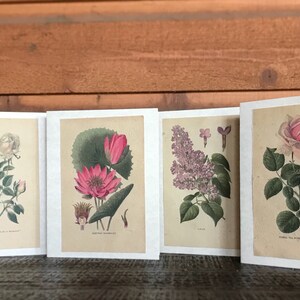 Cartões de papel de sementes / Conjunto de 4 / Plantáveis / Desenhos vintage