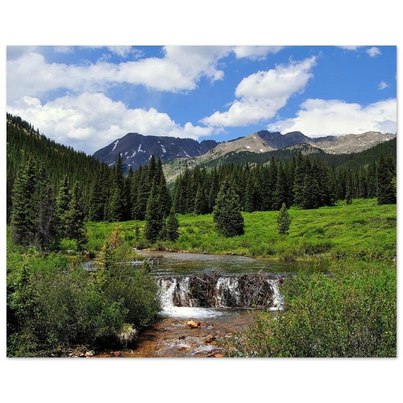 High Alpine Creek Aluminum Print - Vibrant Mountain Art Décor for Modern Spaces 40x50 cm / 16x20″