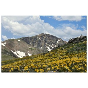 Mountain Meadow Aluminum Print - Vivid Wall Art for Modern Decor 50x75 cm / 20x30″