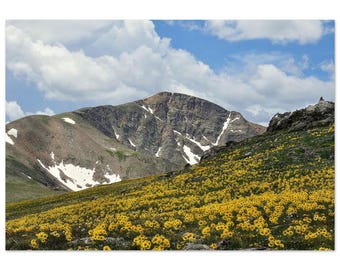 Mountain Meadow Aluminum Print - Vivid Wall Art for Modern Decor