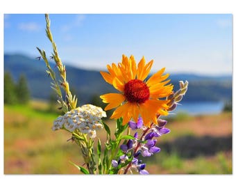 Stunning Colorful Bouquet Aluminum Print - Modern Wall Art for Home & Office