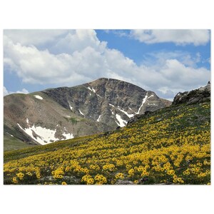 Mountain Meadow Aluminum Print - Vivid Wall Art for Modern Decor 60x80 cm / 24x32″