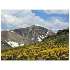 Mountain Meadow Aluminum Print - Vivid Wall Art for Modern Decor 30x40 cm / 12x16″