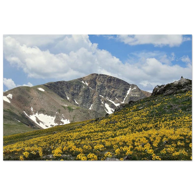 Mountain Meadow Aluminum Print - Vivid Wall Art for Modern Decor 20x30 cm / 8x12″