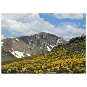 Mountain Meadow Aluminum Print - Vivid Wall Art for Modern Decor 50x70 cm / 20x28″