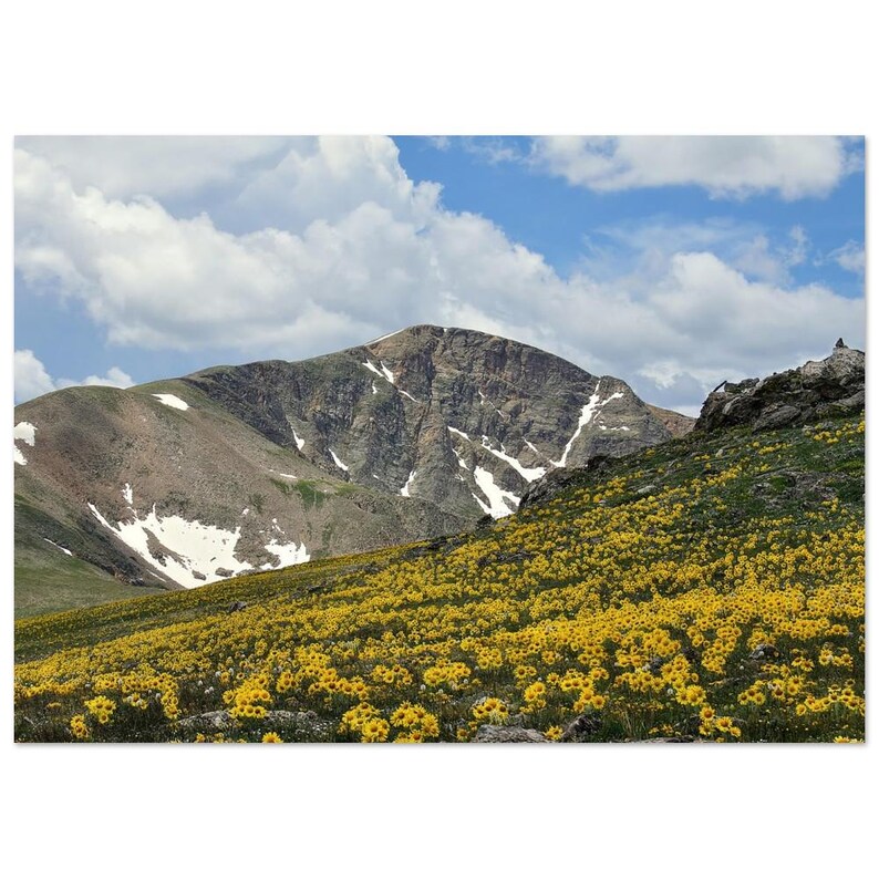 Mountain Meadow Aluminum Print - Vivid Wall Art for Modern Decor 50x70 cm / 20x28″