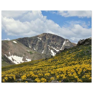 Mountain Meadow Aluminum Print - Vivid Wall Art for Modern Decor 40x50 cm / 16x20″