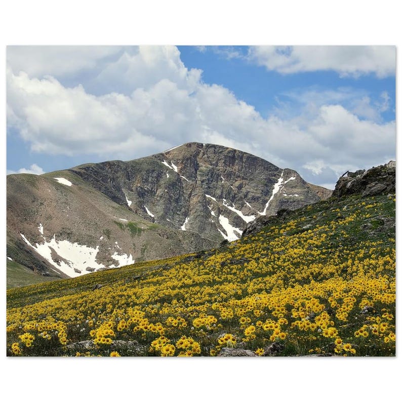 Mountain Meadow Aluminum Print - Vivid Wall Art for Modern Decor 40x50 cm / 16x20″