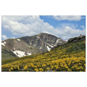 Mountain Meadow Aluminum Print - Vivid Wall Art for Modern Decor 30x45 cm / 12x18″