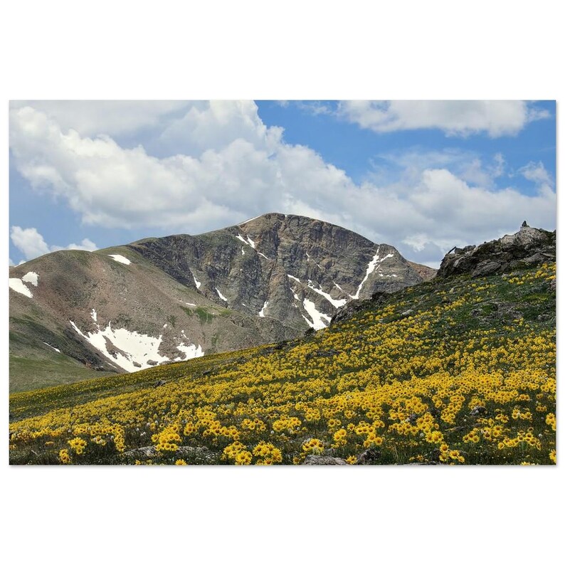 Mountain Meadow Aluminum Print - Vivid Wall Art for Modern Decor 30x45 cm / 12x18″