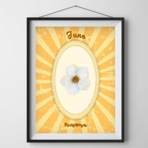Impresión de flores de nacimiento de junio - Arte mural de Romneya - Ilustración de flores en acuarela - Regalo del Día de la Madre - Decoración floral para el hogar - Póster vintage