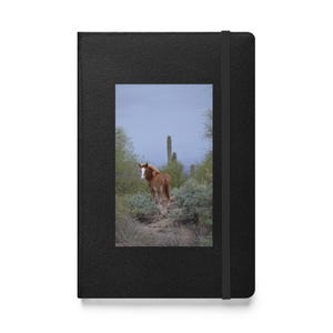 Dziennik Wild Spirit – przedstawiający konie z Salt River w Tonto National Forest