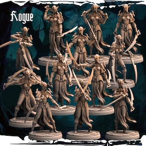 Army of Chaos: Dark Elfs - Rogues 2 av 2