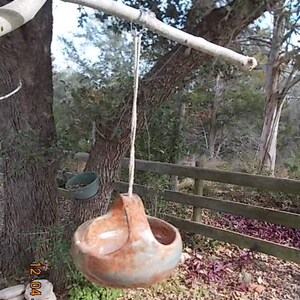 May include: A rustic brown and green ceramic hanging planter with a rope hanging from a tree branch.