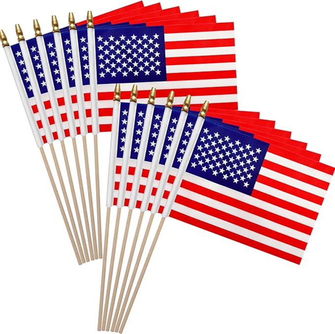 Mini American Flags, 12 Pack - Patriotic Party Decorations - Etsy