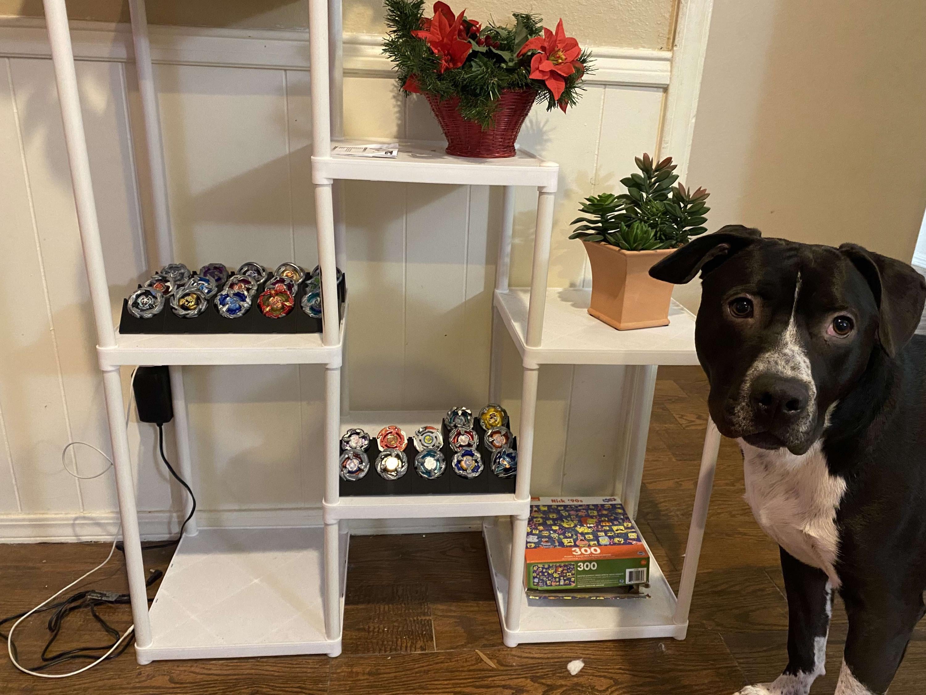 ベイブレードX ディスプレイスタンド - Etsy 日本