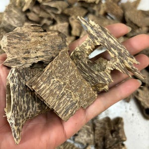 vietnam Agarwood - Vietnam Oud - High quality - Super Special - Free Shipping