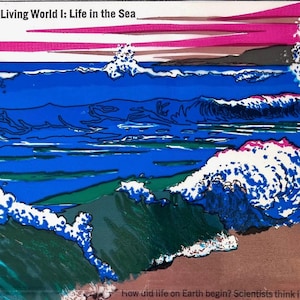Vintage 1973 Scholastic Ocean Teaching Transparency-Retro Wave Sea Art- 70s Coastal Wall Decor