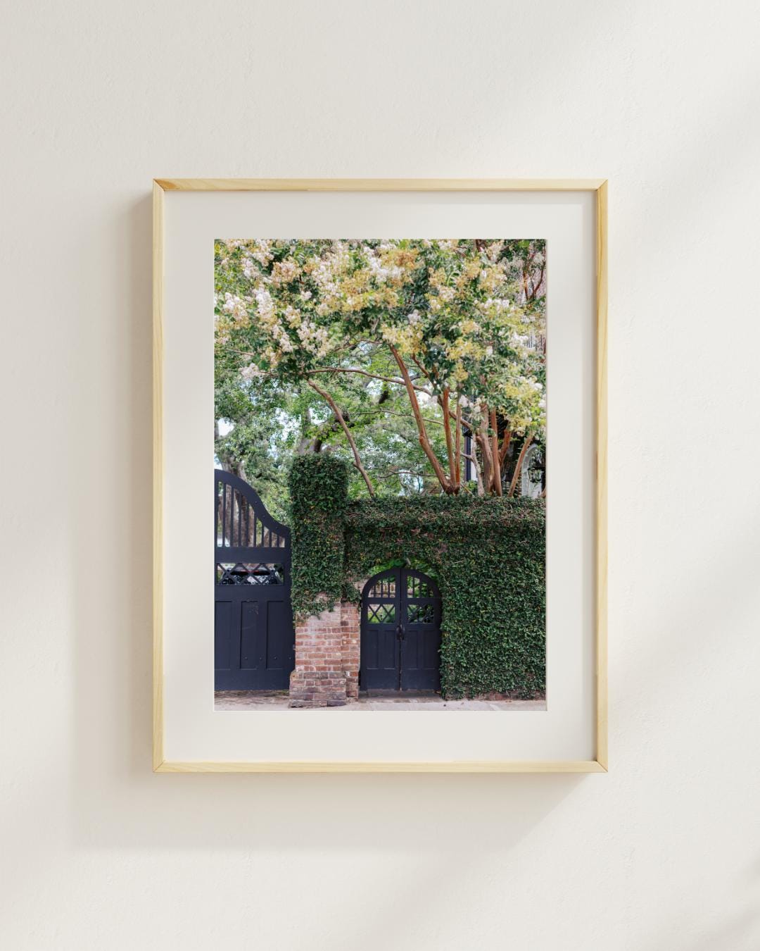 Charleston Homes Photo Print, Historic Architecture (digital Download ...