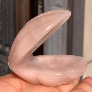 Rose Quartz Carved Shell: Crystal Seashell Conch (2.4 inches)