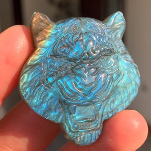 Crâne de lion en labradorite sculpté à la main : décoration d&#39;intérieur en cristal