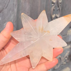 5.5&#39;&#39;+ Natural Sodalite quartz,quartz crystal,hand carved,crystal North Star,North Star skull,Home Decoration Crystal Gifts 1pc