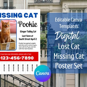 May include: A digital printable lost cat poster template featuring a ginger tabby cat sitting in a cardboard box. The poster includes the cat's name, Pookie, breed, and last seen location. The poster also includes a phone number to contact if the cat is found.