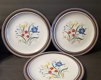 Vintage Salem Georgetown Stoneware Dinner Plates - Lot of 3